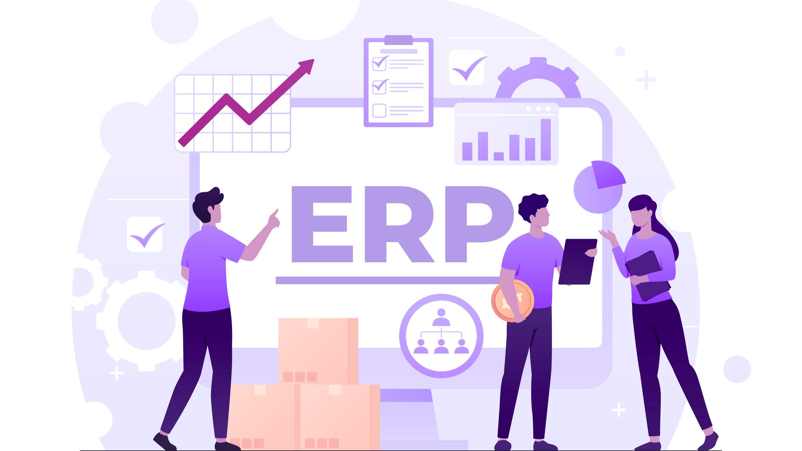 ERP vector picture